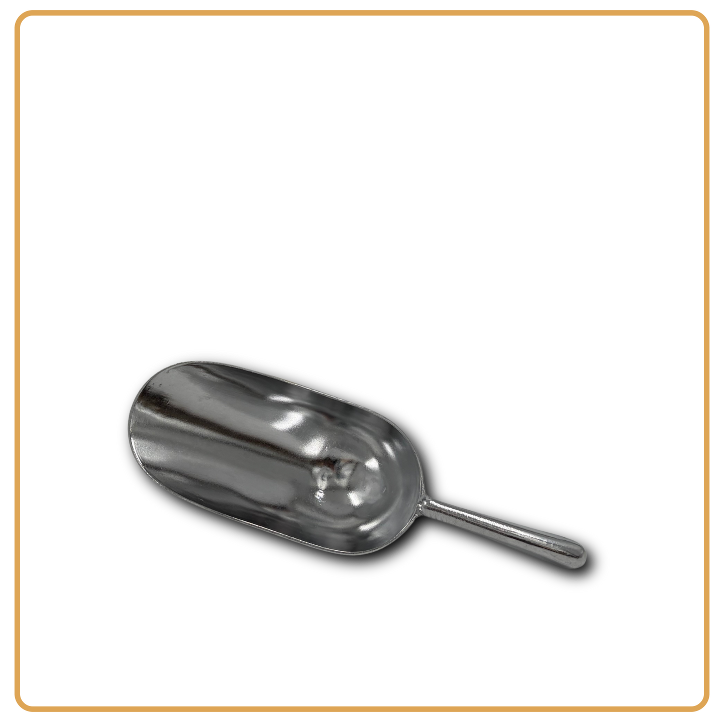 Large Coffee Bean Storage Container with Scoop